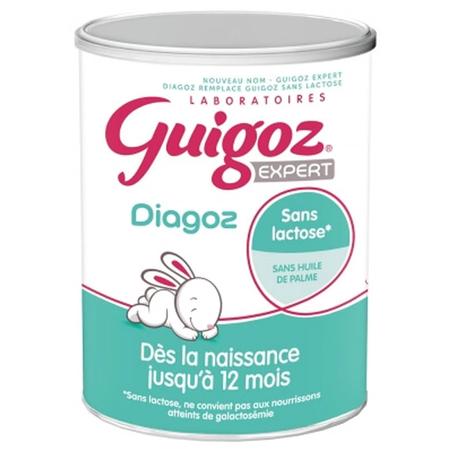 Guigoz Expert Diagoz 0–12 Months 400 g