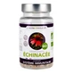 L'Herbôthicaire Echinacea biologica 60 capsule
