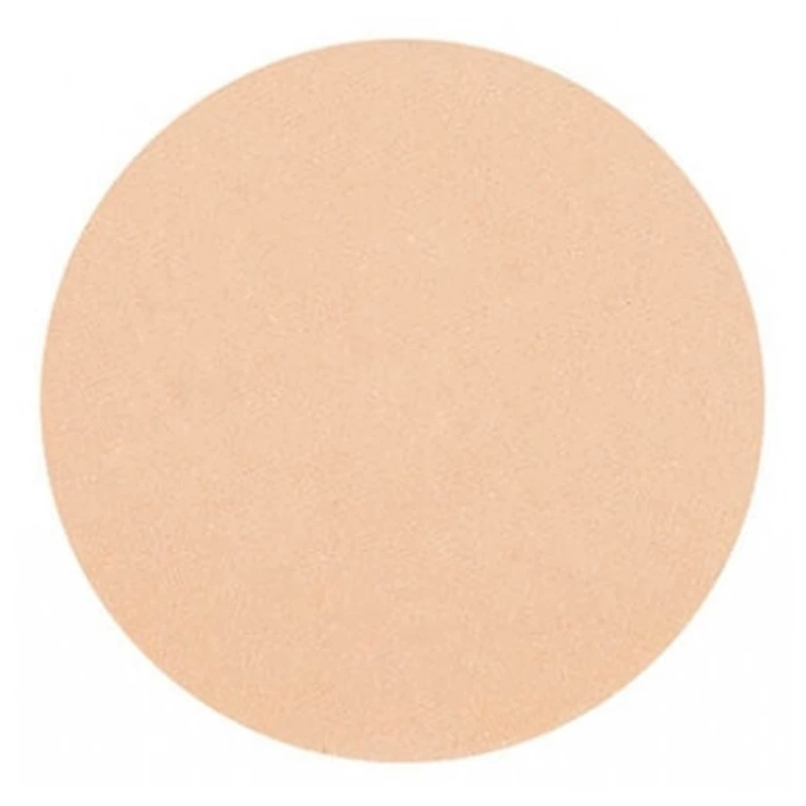 Parisax Pro Matte Beige Lidschatten von Parisax