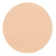 Parisax Pro Matte Beige Eyeshadow by Parisax