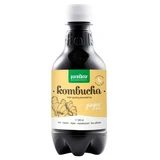 Purasana Organic Ginger-Flavored Kombucha, 330 ml