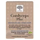 New Nordic Cordyceps Plus 30 Tablets