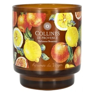 Collines de Provence Kerze mit frischem botanischem Duft, 220 g