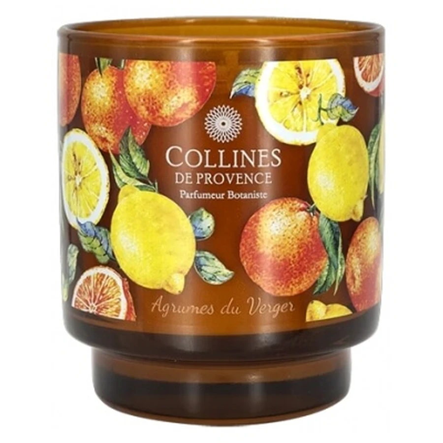 Collines de Provence Kerze mit frischem botanischem Duft, 220 g