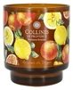 Collines de Provence kaars met frisse botanische geur, 220 g
