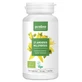 Purasana Organic St. John's Wort, 120 Capsules