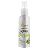 Fleurance Nature Puryfitout Spray Assainissant d'Atmosphère 100 ml