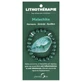 PharmaGem Crystal Therapy Malachite Bracelet, 8 mm