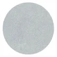 Parisax Pro Silver Iridescent Eyeshadow Parisax