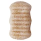 Esponja corporal Konjac 2 en 1 de Lady Green con trocitos de nuez