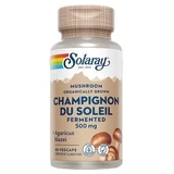 Solaray: seta reishi fermentada, 500 mg, 60 cápsulas vegetarianas