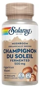 Solaray Fermented Reishi Mushroom 500 mg, 60 Vegetarian Capsules