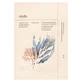 Ondo Beauty 36.5 Hyaluronic Acid & Algae Moisture Boostong Mask 25 g