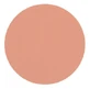 Parisax Pro Matte Salmon Pink Eyeshadow Parisax