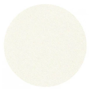 Parisax Pro White Matte Lidschatten von Parisax