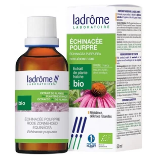 Ladrôme Bio-Frischpflanzenextrakt: Rote Echinacea, 50 ml