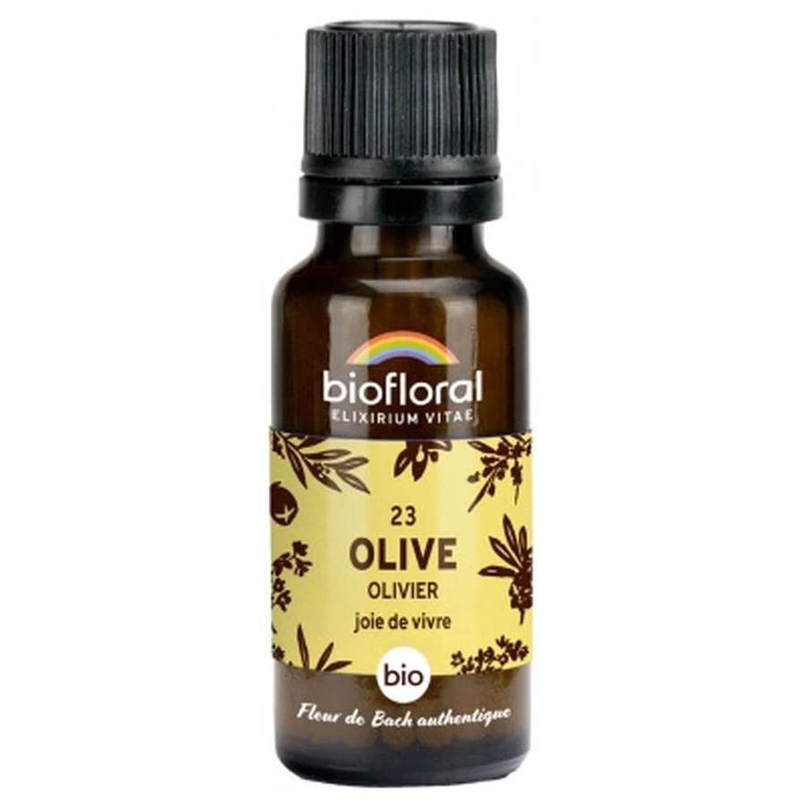Biofloral Granulki 23 Oliwka – ekologiczna oliwka 19,5 g: ceny i cechy