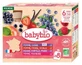 Babybio Multiparfums 6 Mois et + Bio 8 Gourdes de 90 g