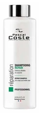 Pascal Coste Professional Repair Shampoo