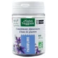 Nutriveggies Biologische Passiebloem 40 capsules