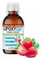 Eric Favre Lipoxycut: producto para adelgazar y supresor del apetito, sabor a fresa, 500 ml