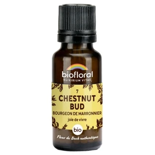 Biofloral Gránulos 7: Brotes de castaño - Brotes de castaño ecológicos, 19,5 g