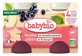 Babybio Appel en Zwarte Bes, vanaf 4 maanden, biologisch, 2 potjes van 130 g