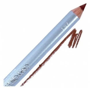 Lápiz de labios Parisax Pro Plum