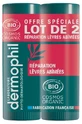 Dermophil Indian Organic Damaged Lip Repair Stick, 2-Pack (4 g each)