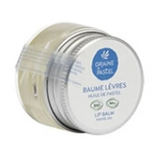 Graine de pastel Baume Lèvres Bio 7 ml