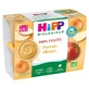 HiPP 100% Fruits Pommes Abricots dès 4/6 Mois Bio 4 Pots