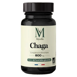 Phytalessence Chaga 800 mg Bio 60 Gélules