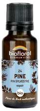 Biofloral Granuli 24 Pino - Pino silvestre biologico 19,5 g