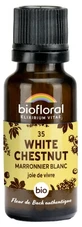 Biofloral Bachblüten-Essenzen 35 Weißkastanie Bio 19,5 g