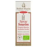 Ballot-Flurin Bio-Mundspray ohne Alkohol, 15 ml