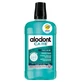 Alodont Care Mundwasser „Daily Freshness“ 500 ml