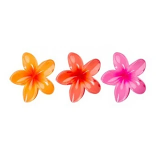Brushworks 3 Tropical Flower Crab Clips