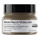L'Oréal Professionnel Absolut Repair Molecular L'Oréal Mască reparatoare Absolut Repair Molecular L'Oréal Pro 250 ml