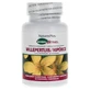 Natures Plus Johanniskraut 63 g