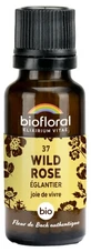 Biofloral Bachbloesemremedies 37 Wilde Roos Biologisch 19,5 g