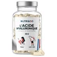 Nutri&Co: Ácido hialurónico con onagra y borraja, 60 cápsulas