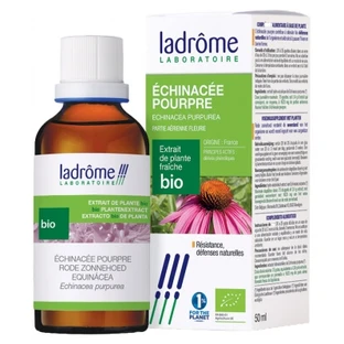 Ladrôme Organic Fresh Plant Extract: Purple Echinacea, 100 ml