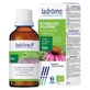 Ladrôme Organic Fresh Plant Extract: Purple Echinacea, 100 ml