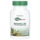 Natures Plus Herbal Actives Boswellin 300 mg 60 Capsules