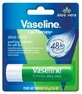 Bálsamo labial en barra de vaselina con aloe vera, 4,8 g
