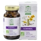 Thés de la Pagode Sommeil Bio 60 Gélules