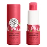 Roger & Gallet Red Ginger Enriching Lip Balm 3.5 g