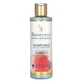 Rodolphe & Co Bio-Shampoo für coloriertes Haar 250 ml