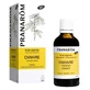 Pranarôm Bio-Hanf-Pflanzenöl 50 ml