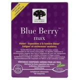 New Nordic Blue Berry Max, 120 comprimidos